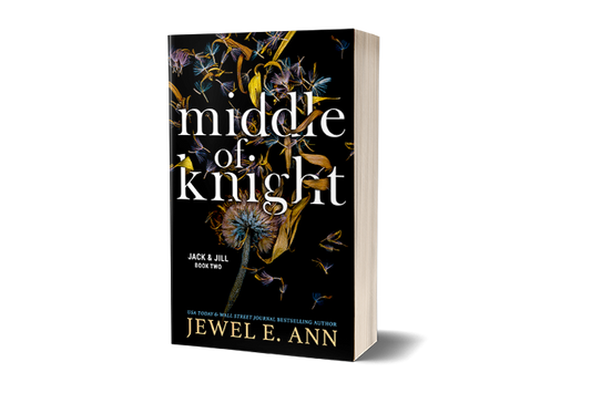 paperback mockup of a cover of Middle of Knight cover by Jewel E Ann, a romantic suspense audiobook